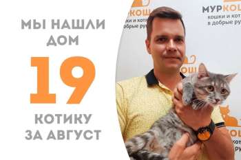 Урбино становится домашним счастливчиком!