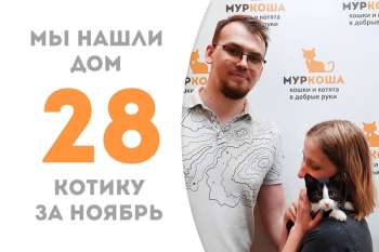 Добродушный Усёнок нашел семью всего за 1 месяц!