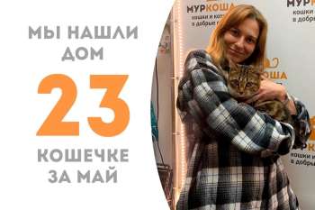 Утяша стала домашней за три месяца!