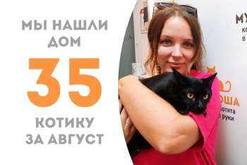 Уютик уезжает к Баскету!