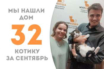 Счастливчик Валентайн уезжает домой!