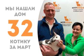 Милейший Василёк расцвел в руках новой семьи!