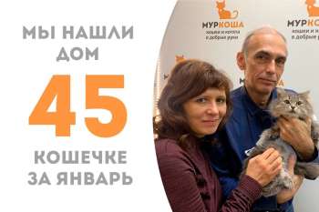 Нежная Велиона стала нашей счастливицей и маминой-папиной любимицей!