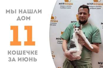 Вэлли становится домашней!
