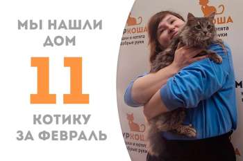 Венедикт отправляется домой!
