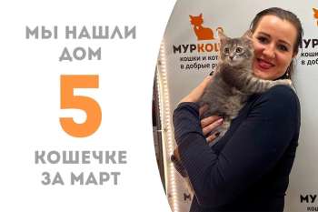 Не прошло и месяца, а Вейгела уже угнездилась на ручках!
