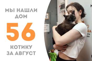 Фантастический Винай начинает жить свою лучшую - семейную! - жизнь!