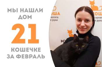 Прекрасная Виола будет цвести-расцветать у себя дома!