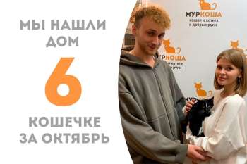 Счастливица Ялика нашла дом всего за 1,5 месяца!
