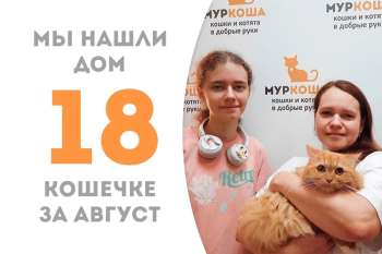 Яшма обрела долгожданное счастье!