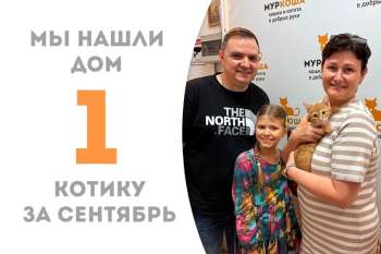 Чуть больше месяца провел у нас солнечный Юдашек и уже успел стать первым осенним счастливчиком, который встретил своих людей!