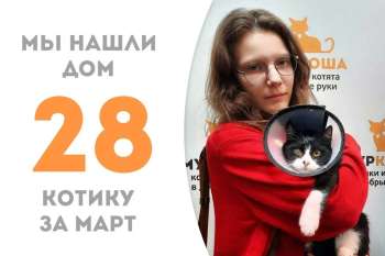 Чуть меньше двух месяцев прошло, а Юнга уже отправляется в плаванье по домашним просторам!