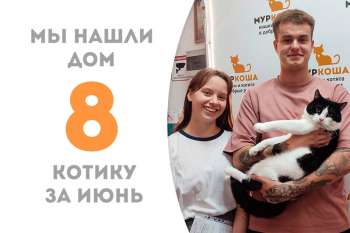 У Забодайкина теперь есть кого любить, бодать и обнимать!