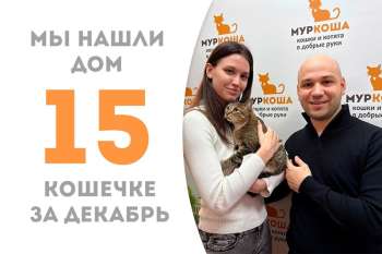 Вдохновляющая Женева нашла любящие ручки меньше чем за месяц!