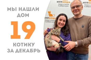 Пушистый Жмых обрел семью почти за полтора месяца!