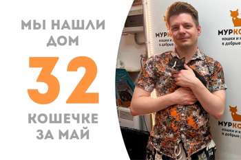 Всего за неделю маленькая Зимомо встретила своего хозяина!