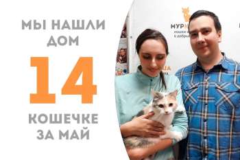 Зимуля повстречала свою семью всего за десять дней!