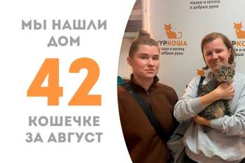 Всего лишь за 3 месяца сказка для Золушки стала явью!