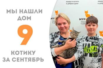 Милейший котёнок Аймерик обрел своё счастье!