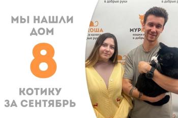 Долгие годы ожидания и, наконец, счастье - славный котик Бензол нашел дом!