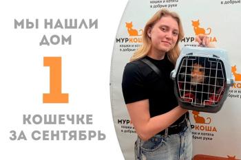 Карамельно-сладкая Вахта нашла дом!