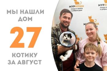 Харизматичный, модельный котик Дьячок нашел заботливую семью!