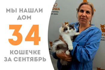 Трëхцветка Калимба дома!