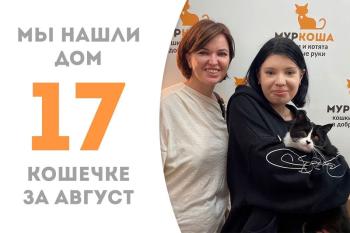 Чудесная кошечка Клавиша обрела дом!