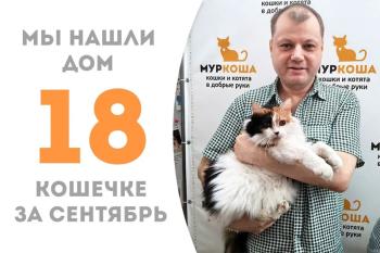 Очаровательная Клера нашла дом!