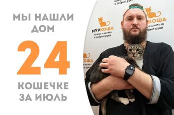 Умудрённая кошечка Клоти стала домашней!