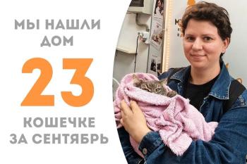 Артистичная кошечка Ксати нашла дом!