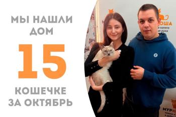 Прекрасная кошечка Кюнна нашла родителей меньше чем за 2 месяца!