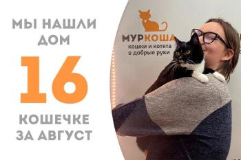 Красавица Линеечка нашла дом!