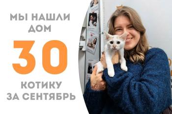 Очаровашка Лэйбл обрел дом за месяц!