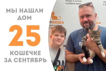 Меньше месяца потребовалось котёнку-девочке Макуре, чтобы стать домашней!