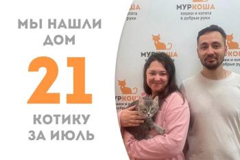 Сказочный котик Мальянник нашёл дом всего за 1,5 месяца!