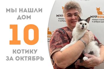 Очаровательный Манон стал домашним!