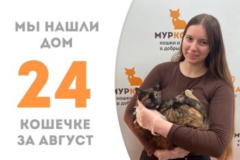 Нежная Маритта уезжает в заботливый дом!