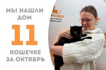Маттиола становится домашней счастливицей!