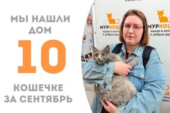 Шелковистая Милентина нашла дом!