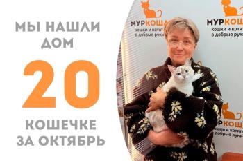 Чуть больше 2 месяцев понадобилось кошечке Миями, чтобы стать домашней!