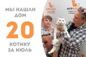 Радостная радость: котик Мурмурчик обрёл дорогую сердцу семью!
