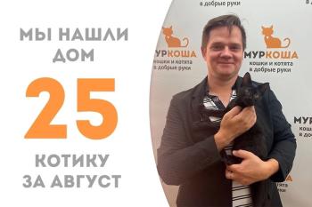 Чуть больше месяца потребовалось котёнку Ноктюрну, чтобы найти уютный дом, и сегодня он уезжает в большую компанию к Жорику, Цукатику и Тоторо!