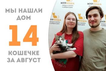 Кокетка Орхия стала домашней и уехала к Хэмлину!