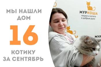 Роскошный Ормель обрёл дом!