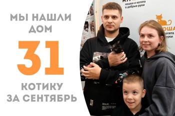 Харизматичный Панк стал домашним за месяц!