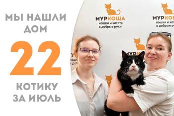 Разговорчивый и музыкальный Плюшкин обрёл счастье с родными людьми!