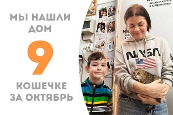 Красавица Полушка нашла дом за 10 дней!