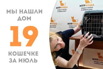 Благородная кошечка Солли нашла родителей!