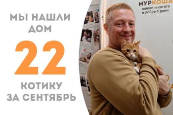 Чудный котёнок Фенислав обрел дом спустя 2 недели!